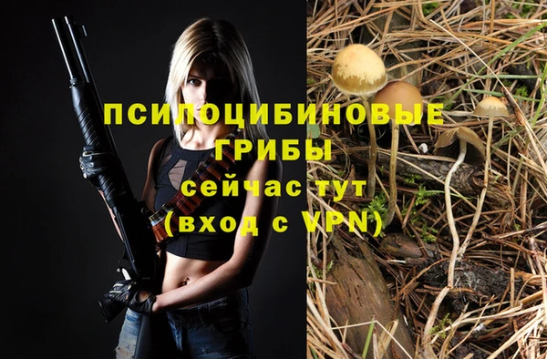 бошки Алапаевск