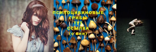 spice Надым