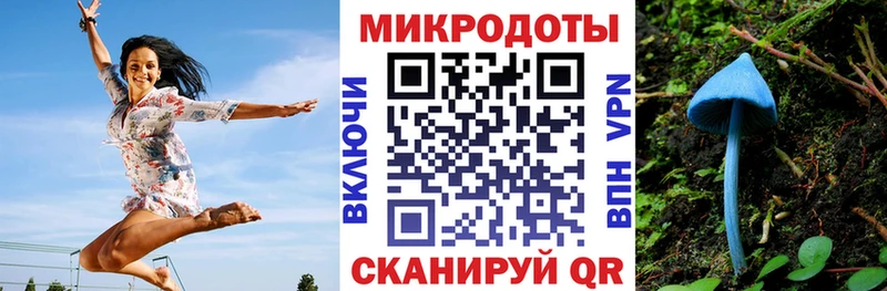 как найти наркотики  Югорск  Псилоцибиновые грибы мухоморы 